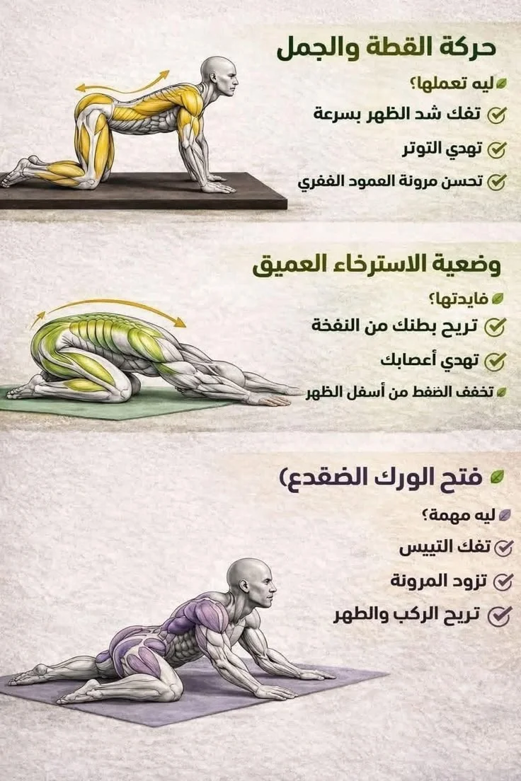 c2d5ca6c2dd47b6d2c9bbb01e12e4894.webp