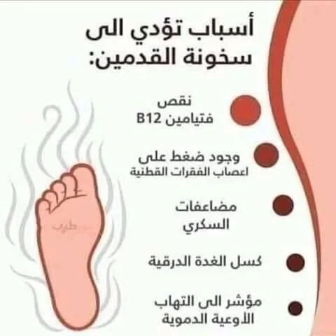c3dee4ae167922978dac45b576373337.webp