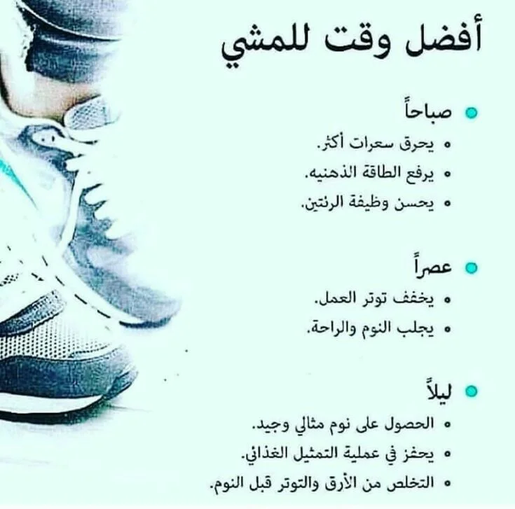 99b18b8e2c8e5fb688380955aa6d6f30.webp