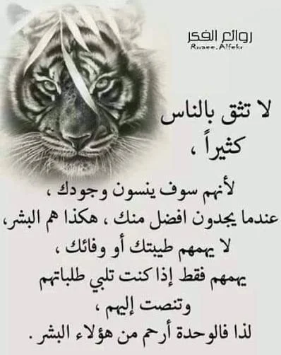 images (2).webp