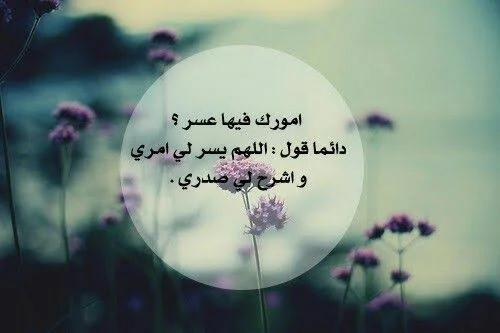 1780511247573.webp