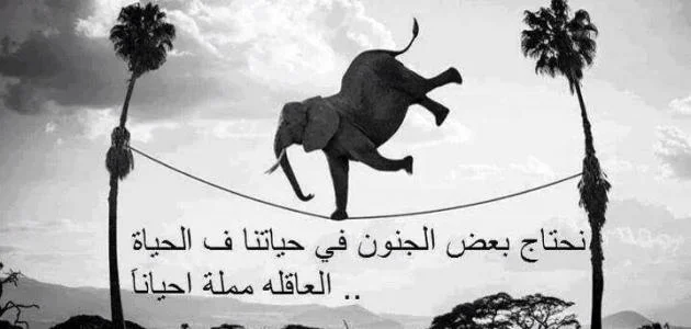 كلام_رائع_عن_الحياة.webp