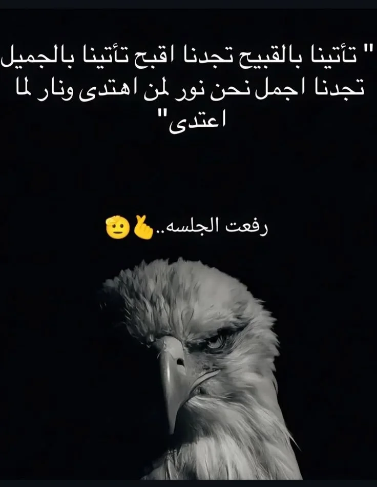 6d278877cd6ef8d413a671feea54af13.webp