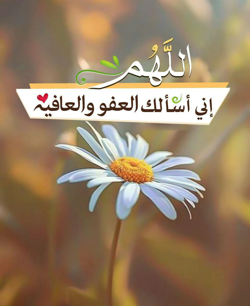 1780831903355.webp