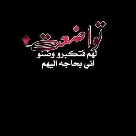 0417a35288dbf9d3cf8403101ce55194.webp