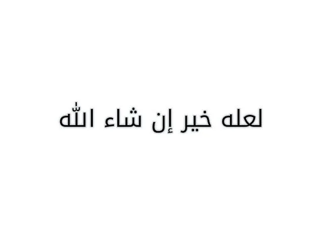 1781025034464.webp