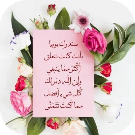 1781037851019.webp