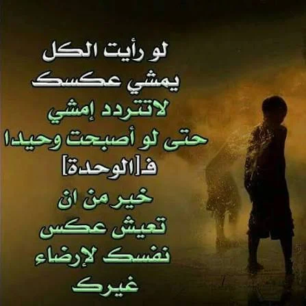 1781116003165.webp
