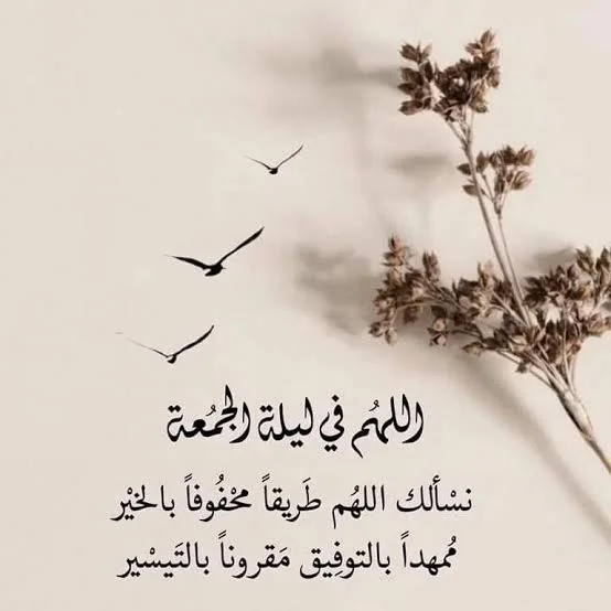 1781209390713.webp