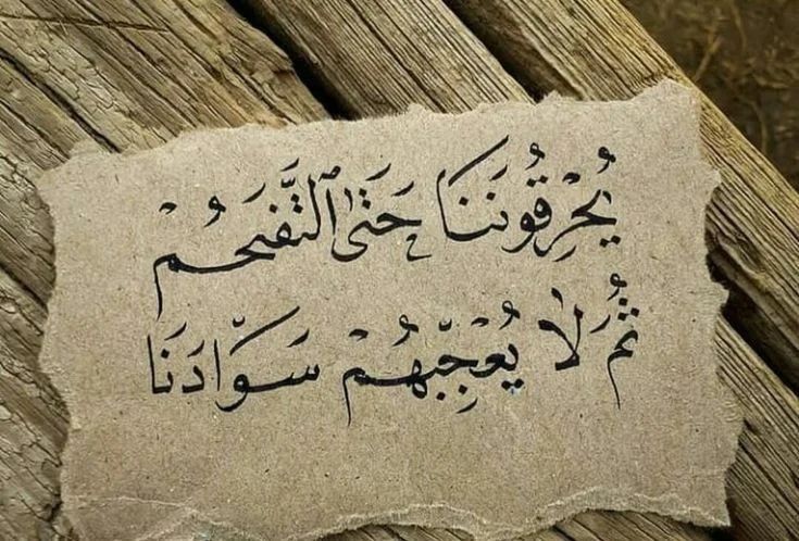 070b27a9affa165f2a3a8fb43c19398e.webp