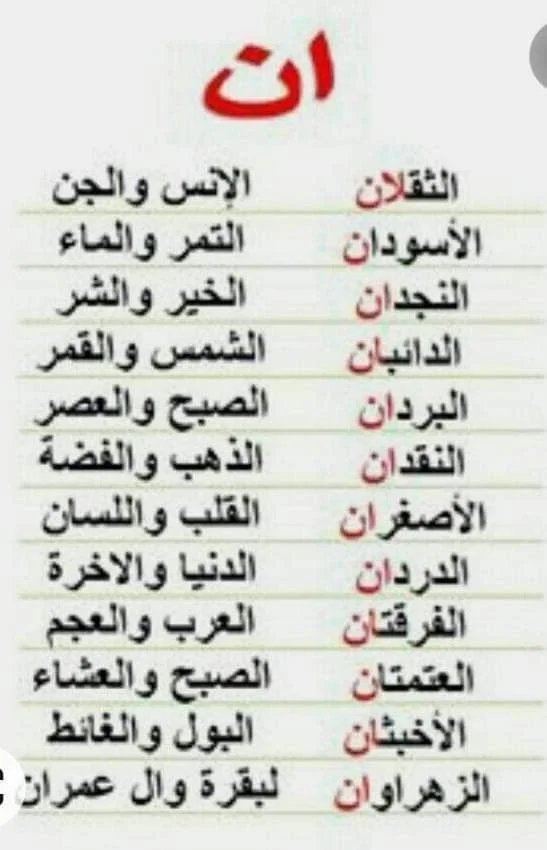 8c342e1c1fac7bbc43083d6c6e3d4bd5.webp