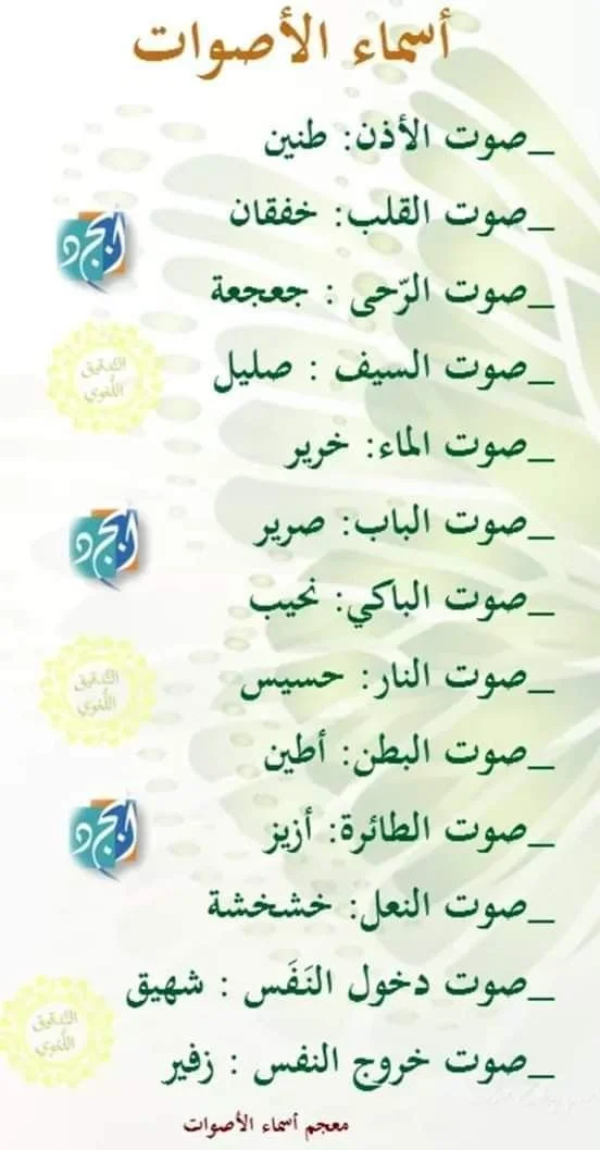 543761992c908a64cbbc924d8bd9c84a.webp