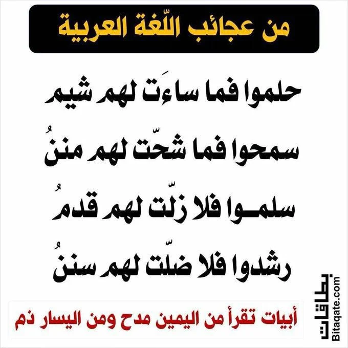 15515cd6ae4a5f9c0b91dd5208c68d81.webp
