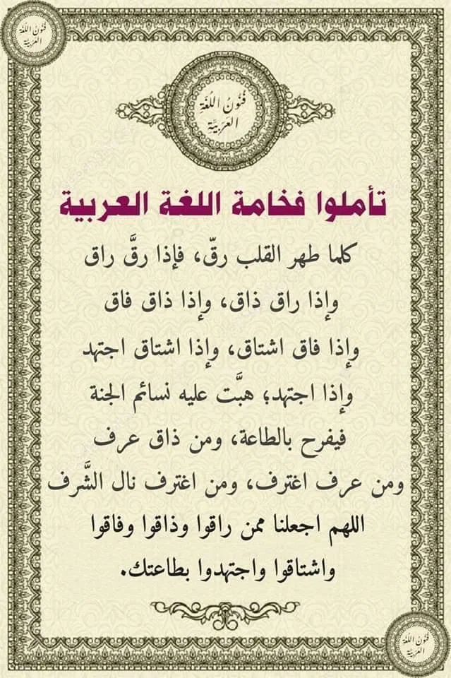 1781503899465.webp