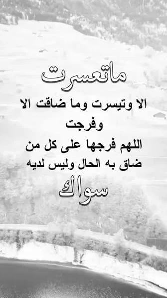 1781560398964.webp