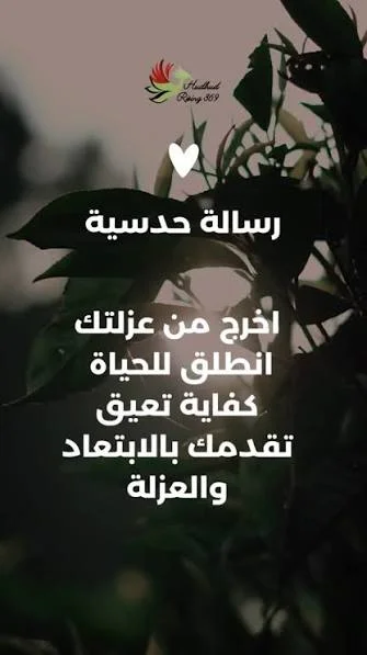 1781560479740.webp