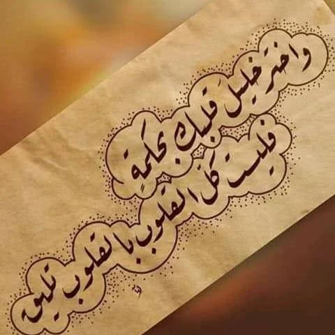 1781619684452.webp