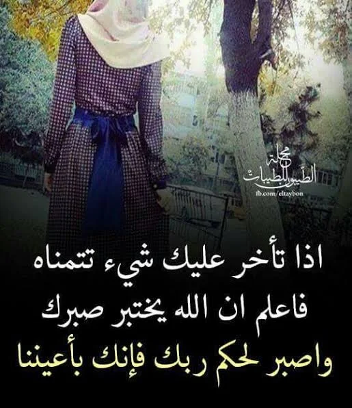 1781619717125.webp