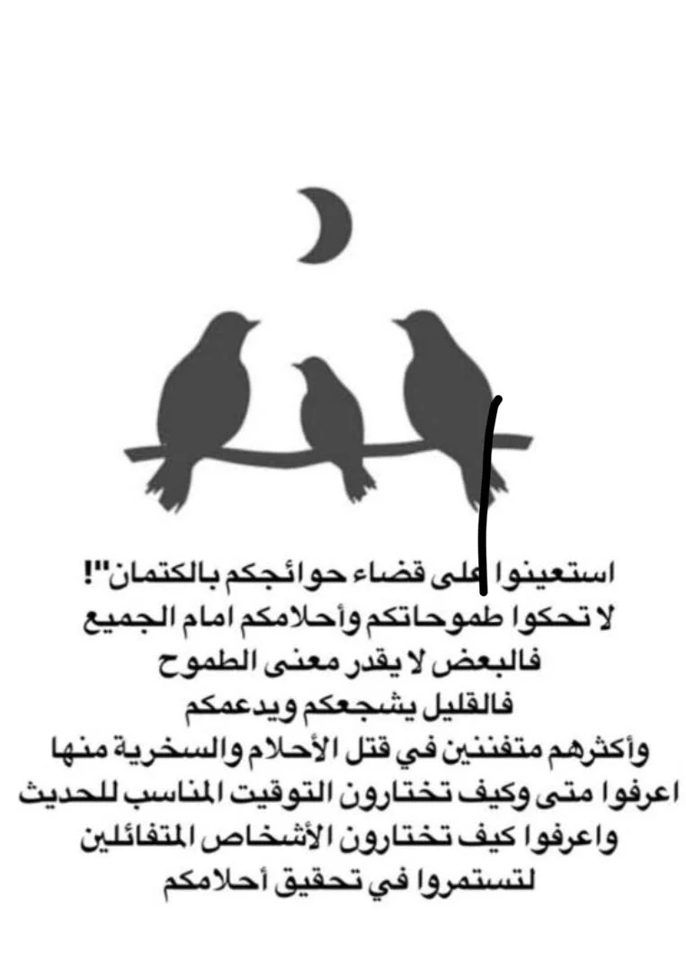 1781696818043.webp