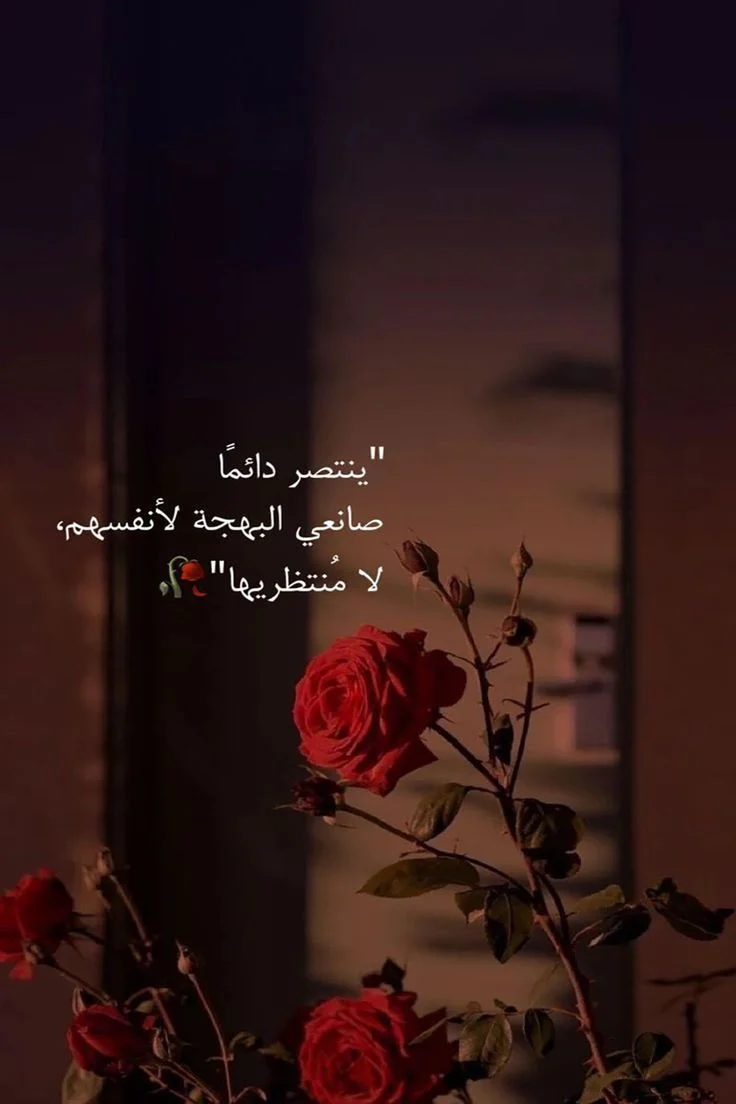1781703178891.webp