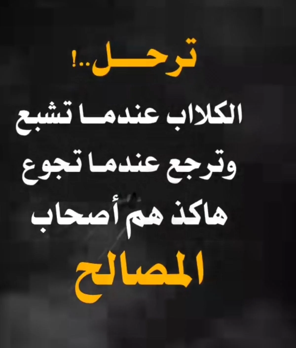 2d819f4ce9f208321cb996def4e7ed49.webp