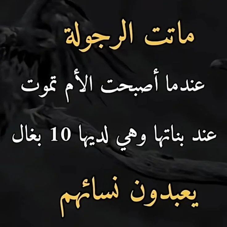 f87d8aceab02caa6ca8beb3aa3a3e8bb.webp