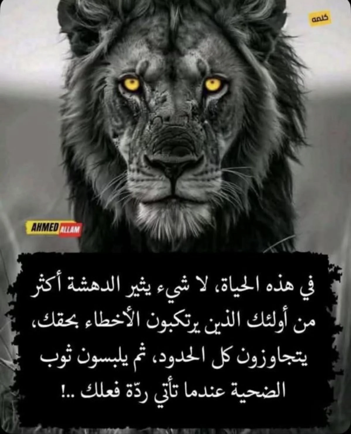 88a83ecc5938e9752f9e8652a6f77969.webp