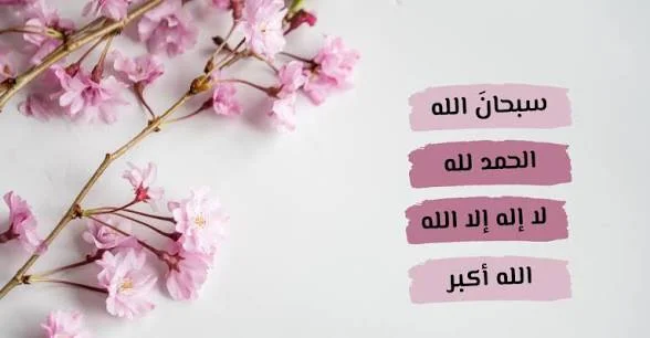 1782075217628.webp