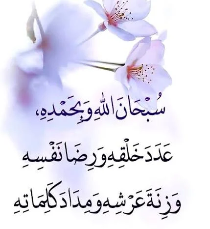 1782150910150.webp