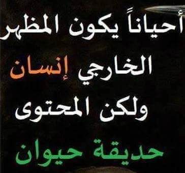 5d9db36199a8b67b2d151090719a31a1.webp
