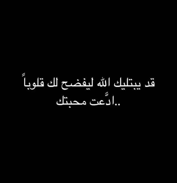 4a6a7c4056486ee2e4877b5b9de647ef.webp