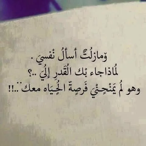 8616ceef6713475f0a7d85521e0edbb8.webp