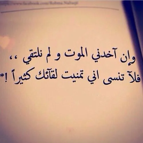 87dd6e3442febf1e7cb13aa1d412eeed.webp