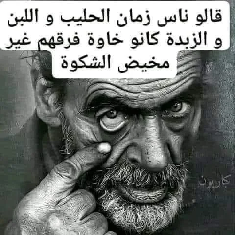 f9dd4c9bba6e80de7afc8de1c0f9ff0c.webp
