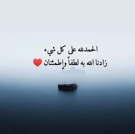 1782391001755.webp