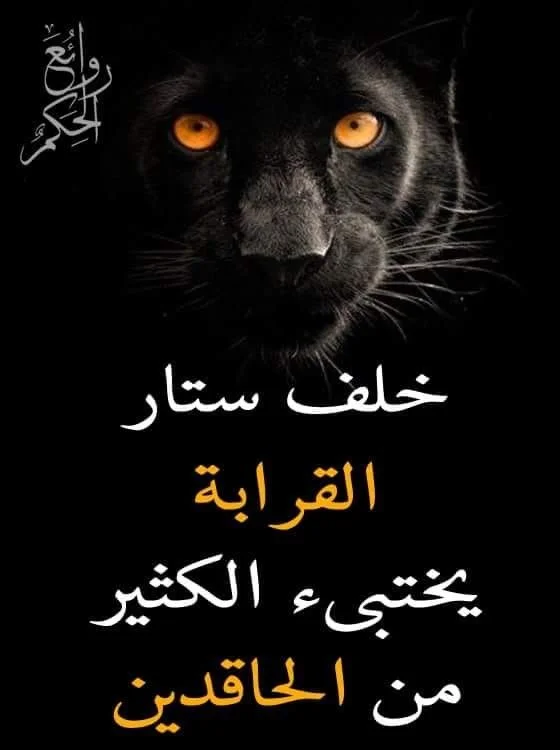 a2341c9915de8205bfe5cc6327b1292e.webp