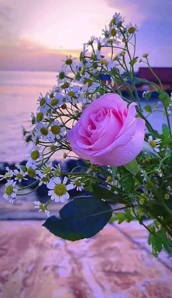 images (3).webp