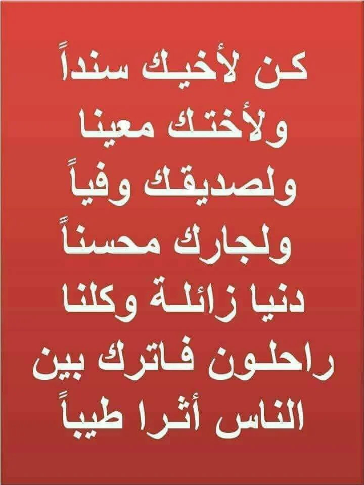 7ab32923e70b7fc8c5162ffeb1fe5b8c.webp