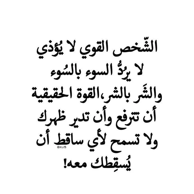 28.webp
