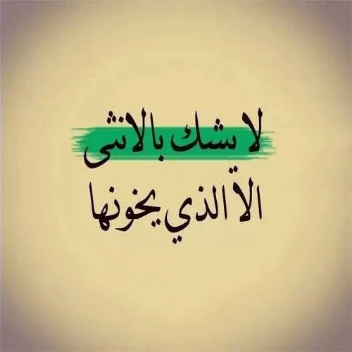 35.webp