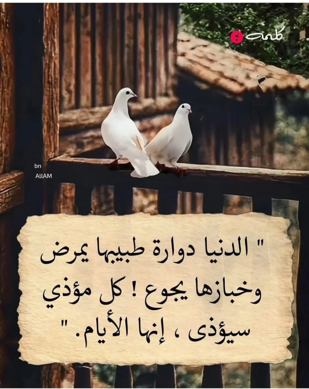 36.webp