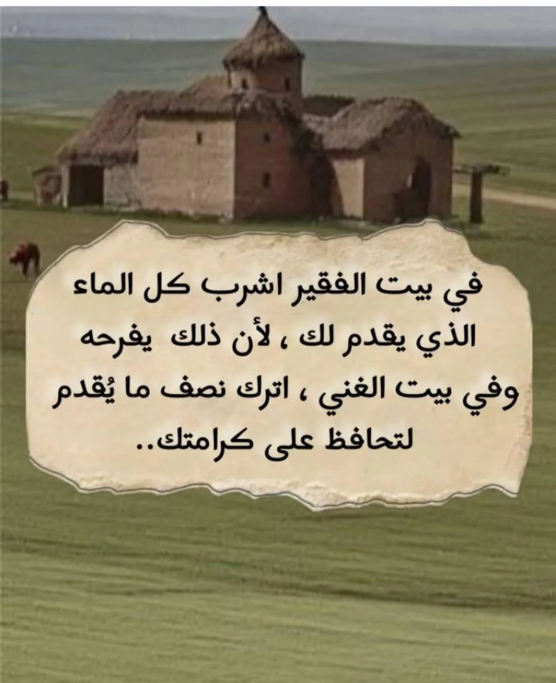 37.webp