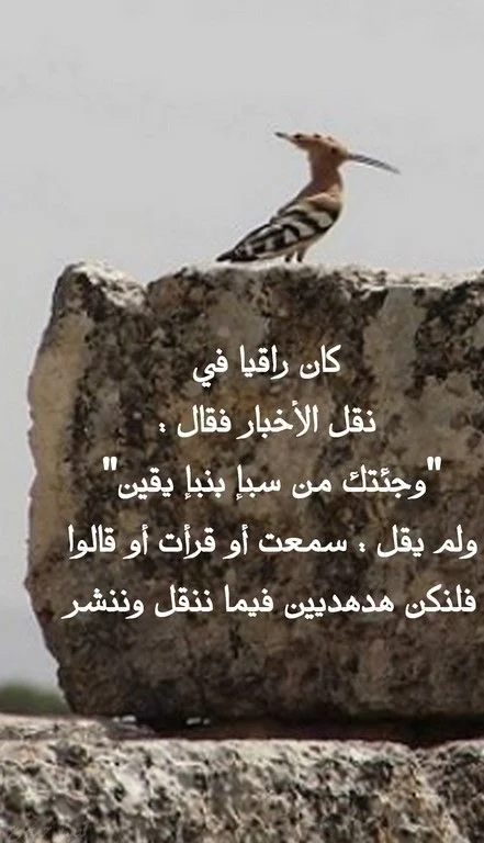 38.webp