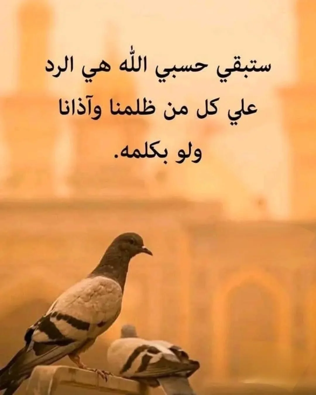 39.webp