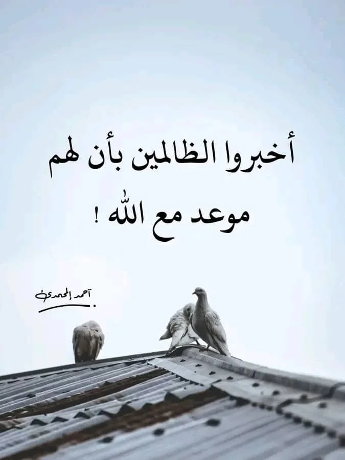 40.webp
