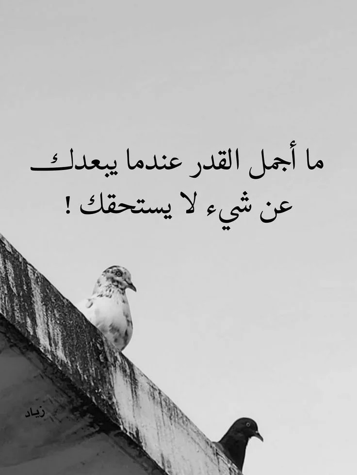 01.webp