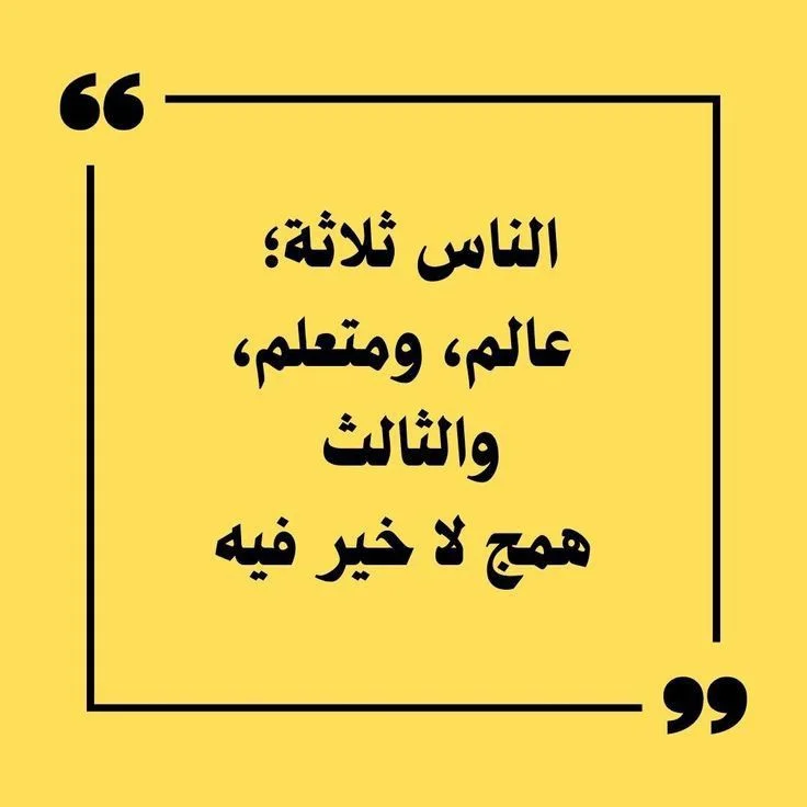 07.webp