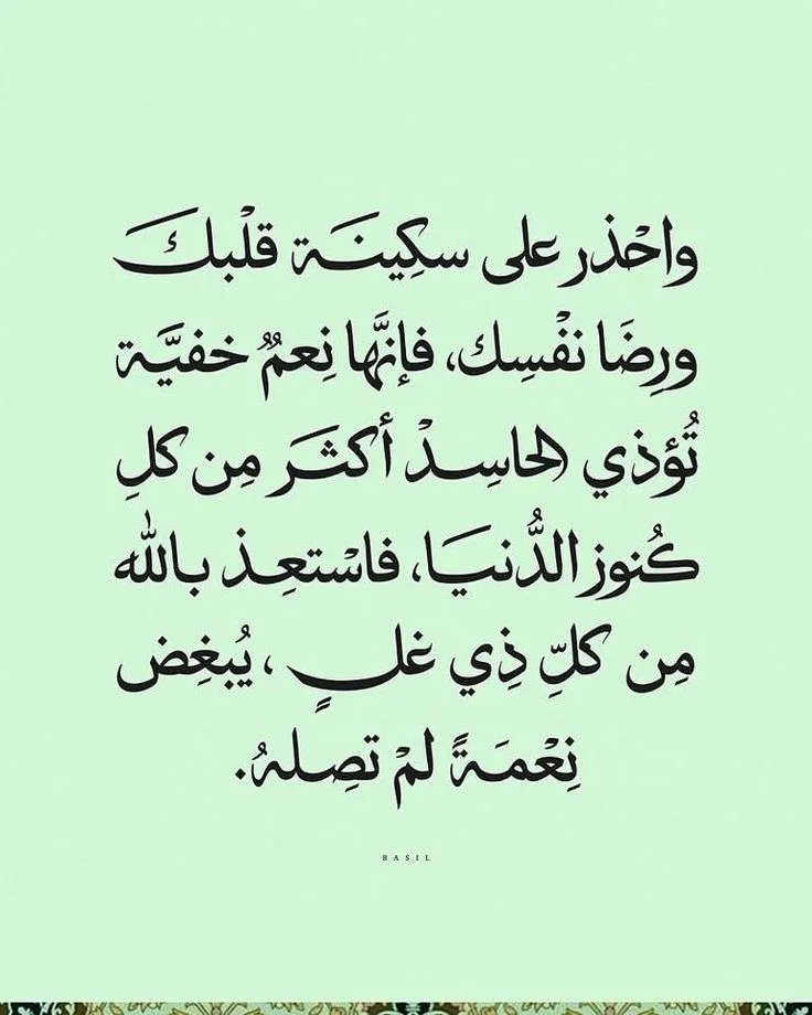 11.webp
