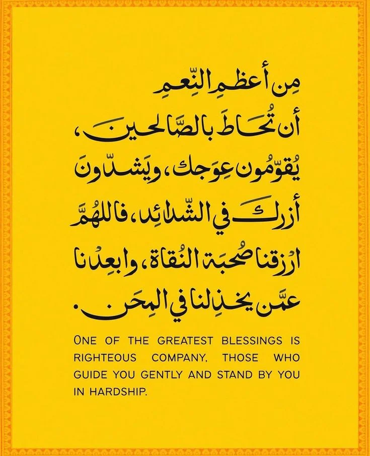 12.webp