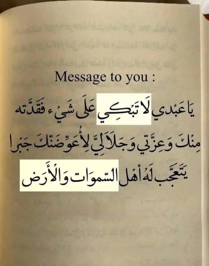 18.webp